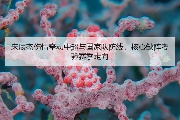 朱辰杰伤情牵动中超与国家队防线，核心缺阵考验赛季走向